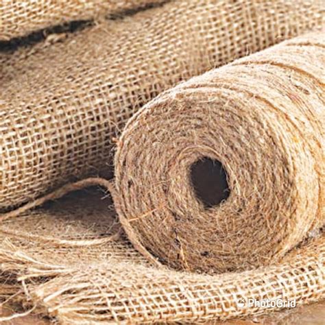 What Is Jute And Why It Is The Most Sustainable Option For Shopping Ba ...