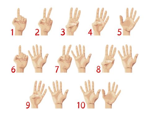 Ten Fingers Stock Photos, Pictures & Royalty-Free Images - iStock