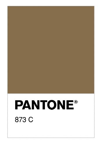Colore PANTONE® 873 C - Numerosamente.it