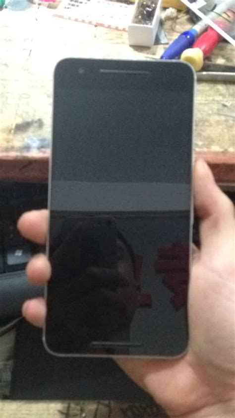 Alleged shots of Nexus 6 2015 appear on Google+ - NotebookCheck.net News