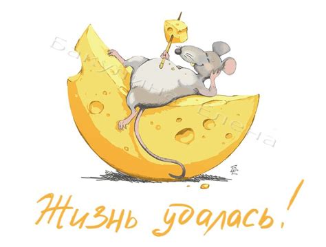 мыши и сыр: 24 тыс изображений найдено в Яндекс.Картинках | Mouse ...
