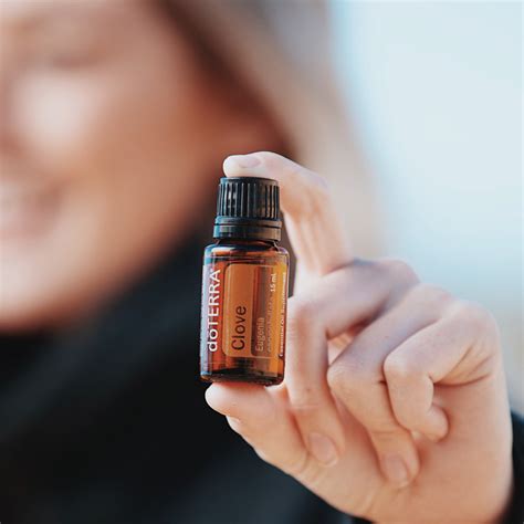 clove oil   benefits doterra essential oils doterra