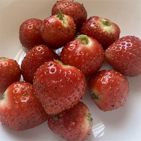 How's your heart today? ♥️ : r/ITookAPicturePH