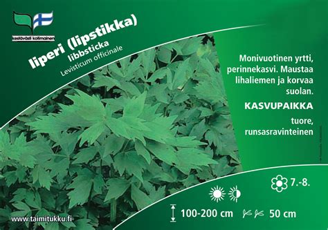 Yrtti Lipstikka | Perennat | Kasvit | hankkija.fi