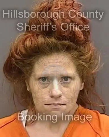 Nearly 50 new... - Tampa Bay Mugshots - Hillsborough