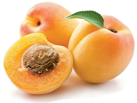 Apricot | Description, Tree, Plant, Fruit, & Facts | Britannica