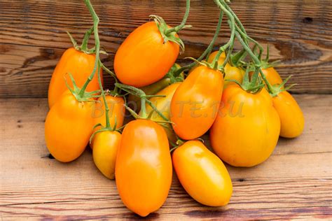 СТАКАНЫ ОРАНЖЕВЫЕ МИНУСИНСКИЕ — BTomate