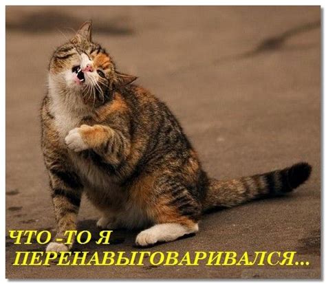 Русские скороговорки