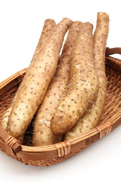 340+ Long Yam Stock Photos, Pictures & Royalty-Free Images - iStock