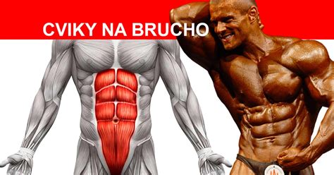 Cviky na brucho | Workoutic