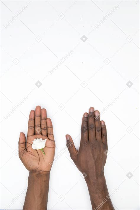 Black male hands holding flowers Photo