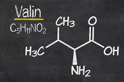 Valin - Funktion & Krankheiten | MedLexi.de