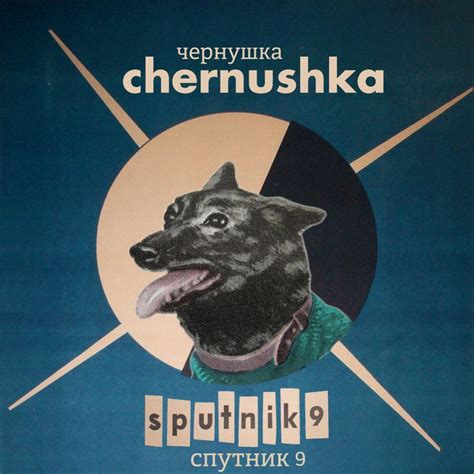 Pin su Chernushka Чернушка Sputnik 9 Спутник-9