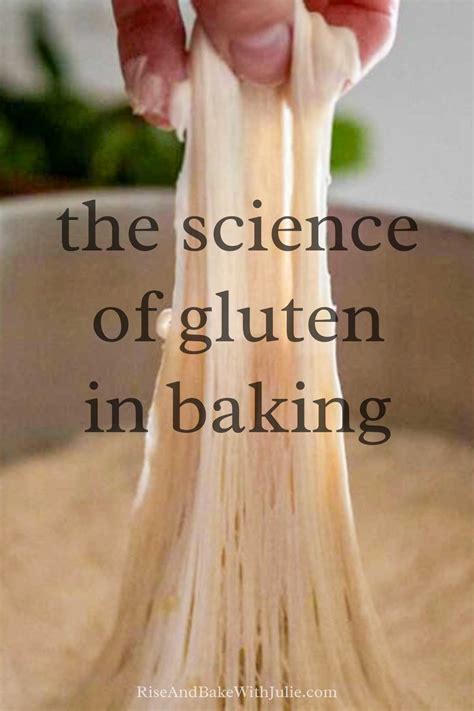 The Science of Gluten in Bread Baking