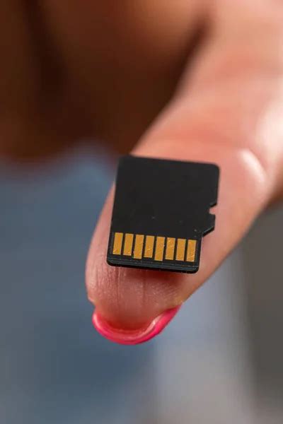 Micro card Images - Search Images on Everypixel