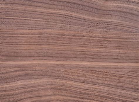 walnut  black walnut wood comprehensive comparison