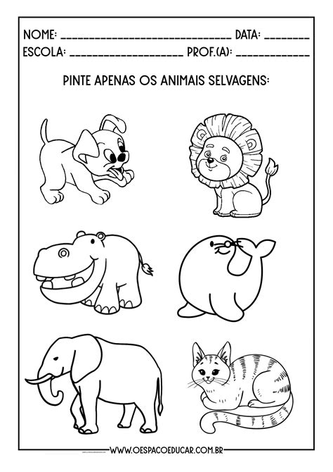 Atividades Sobre Os Animais - Educação Infantil: atividades abordando os animais - Blog Espaço Educar