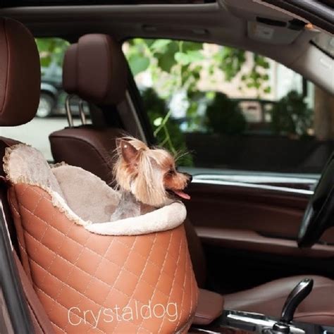 Одежда для собак - интернет-магазин Crystaldog