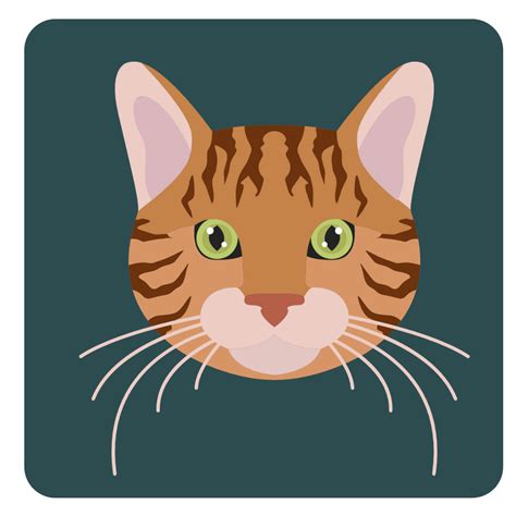 Maine Coon Tail: A Closer Look at the Longest Tail Among Cat Breeds
