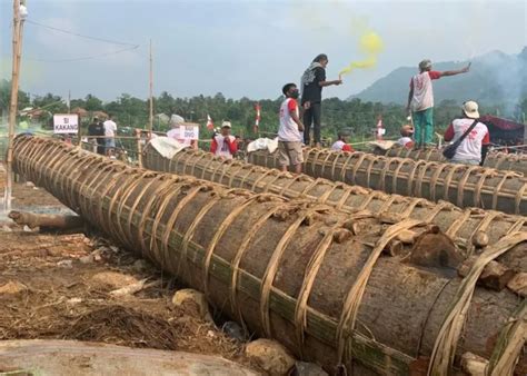 mengenal tradisi adu kuluwung bogorupdate