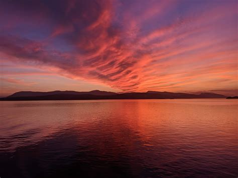 Travelers are praising the BC Ferries Connector Victoria efficiency 1