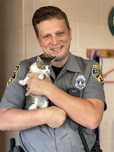Animals & Pets - Town of West Hartford