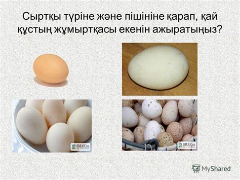 Презентация на тему: "Жұмыртқа құрлысымен сапасын бақылау ...
