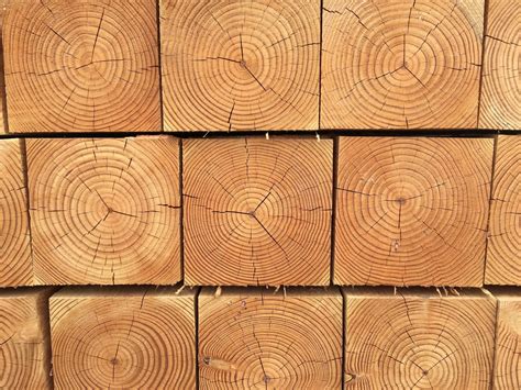 Pourquoi le bois ? - Hout Info Bois