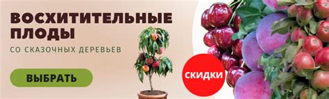 Интернет-магазин саженцев цветов, растений в Москве - купить рассаду ...