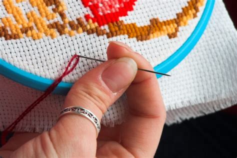 needlework  beginners  ultimate guide