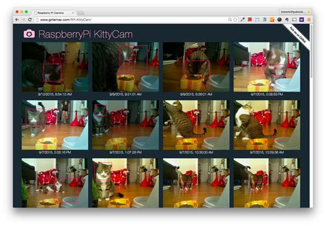 KittyCam - Building a Raspberry Pi Camera with Cat Face Detection in ...
