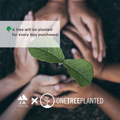 Jamaican Blue Mountain Coffee Nespresso Pods Deals | emergencydentistry.com