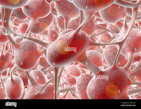 Neural network, computer artwork Stock Photo - Alamy