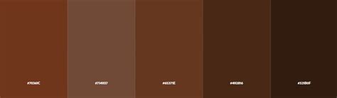 skin color code   skin tone color types