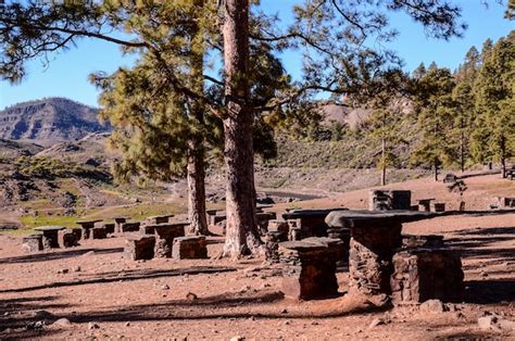 premium photo picnic recreational area