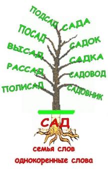 РМиД: Как найти корень в слове?