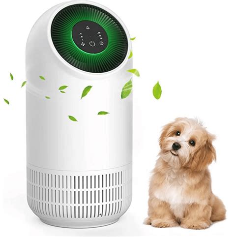 best air purifier for pet hair 10