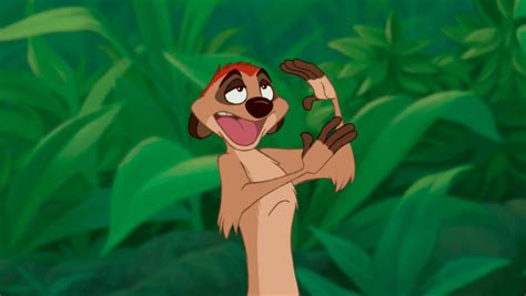Timon is Coming to Disney's Animal Kingdom; Find Out Where