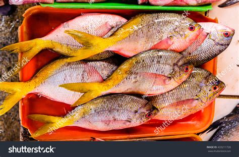 fresh dalagang bukid philippine yellow  stock photo