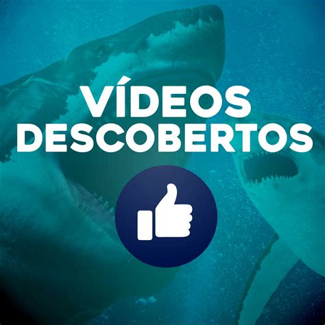 Vídeos Descobertos