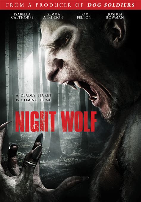 night wolf  kaleidescape  store