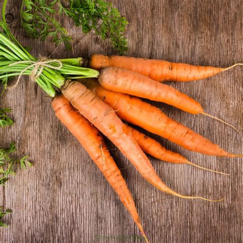 tips phan biet giua da dau kho va da dau bi gau