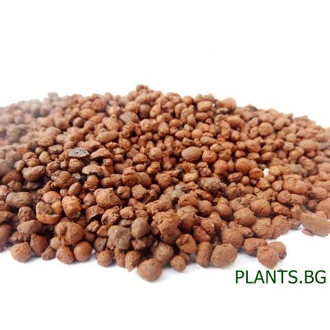 Kерамзит от Plants.bg с отлична цена