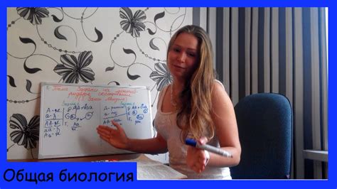 Решение задач на Первый закон Менделя. - YouTube