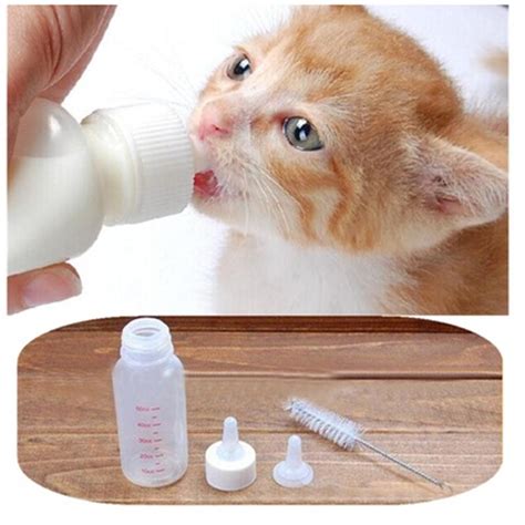 Buy Puppy Kitten Feeding Bottles Pet Nursing Bottle at affordable ...