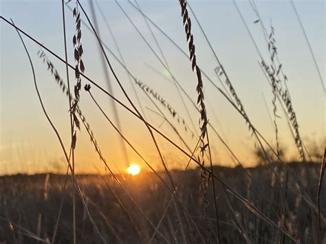 Planned Giving – NPAT