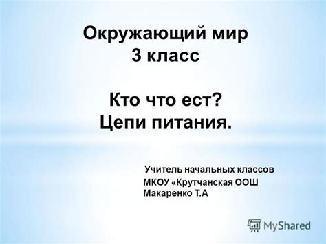 Презентация на тему: "Окружающий мир 3 класс Кто что ест? Цепи питания ...