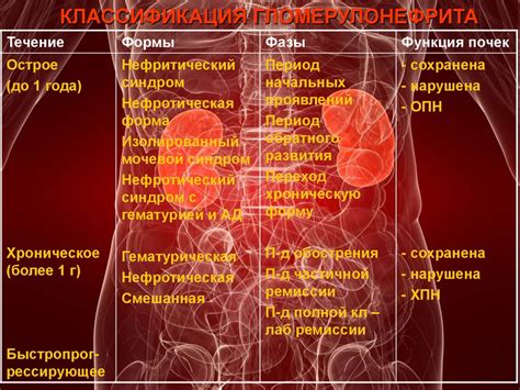 Лекция «гломерулонефрит у детей» - презентация онлайн