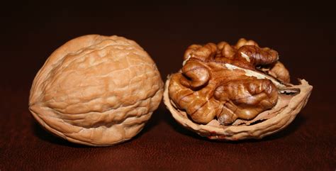 Is Walnut Good For The Heart at Earnest Cisneros blog