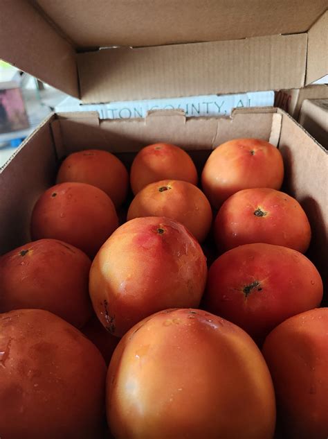 Aplin Farms | Dothan AL